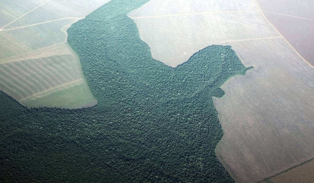 A section of deforested Amazon rainforest turned into farmland near the city of Alta Floresta, Para state, Brazil. File photo: Reuters