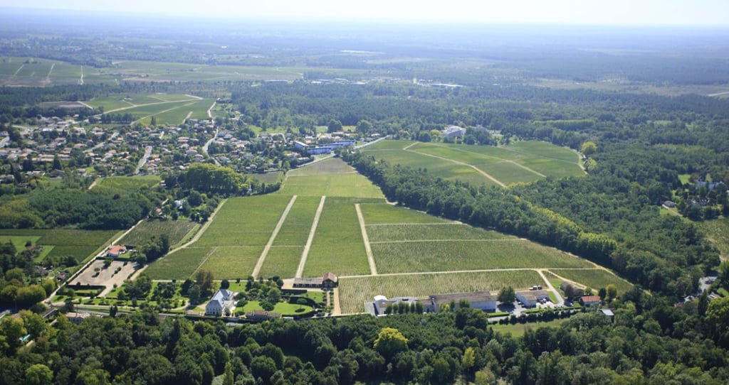 Chateau Malartic Lagraviere in the Pessac-Leognan region in Bordeaux