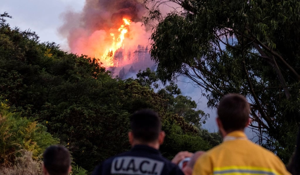 Several firefighters look at a forest fire broke up in the village of Valleseco, Gran Canaria island. Photo: EPA-EFE