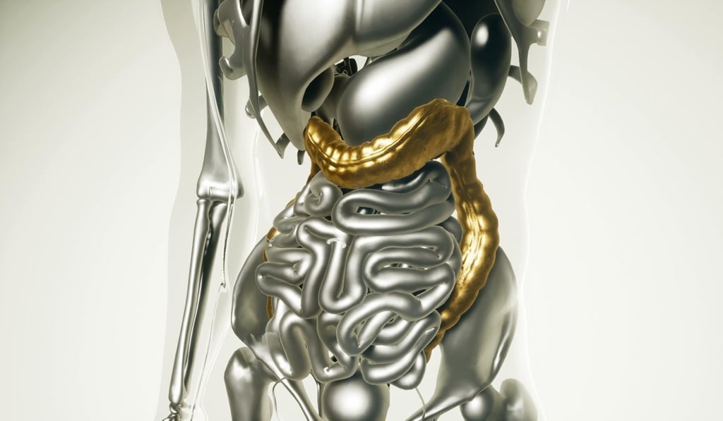 The human gut is being called by doctors, the second brain. Photo: Alamy The human gut is being called by doctors, the second brain. Photo: Alamy