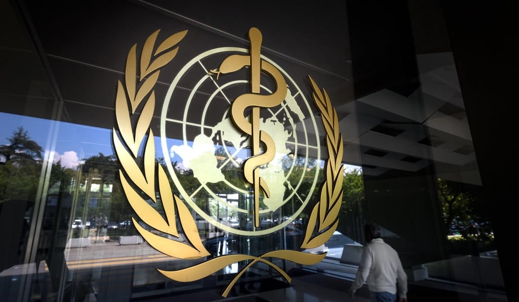 The report is the WHO’s first to investigate the potential human health risks of microplastics. Photo: AFP