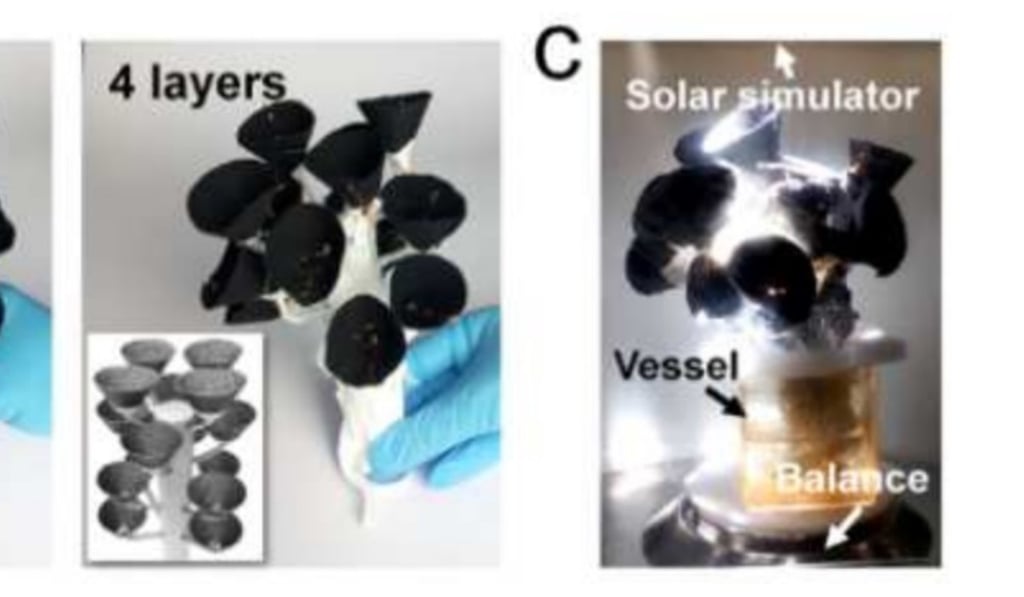 The cones, which function like leaves, could be mass-produced cheaply, researchers say. Photo: Chinese Academy of Sciences