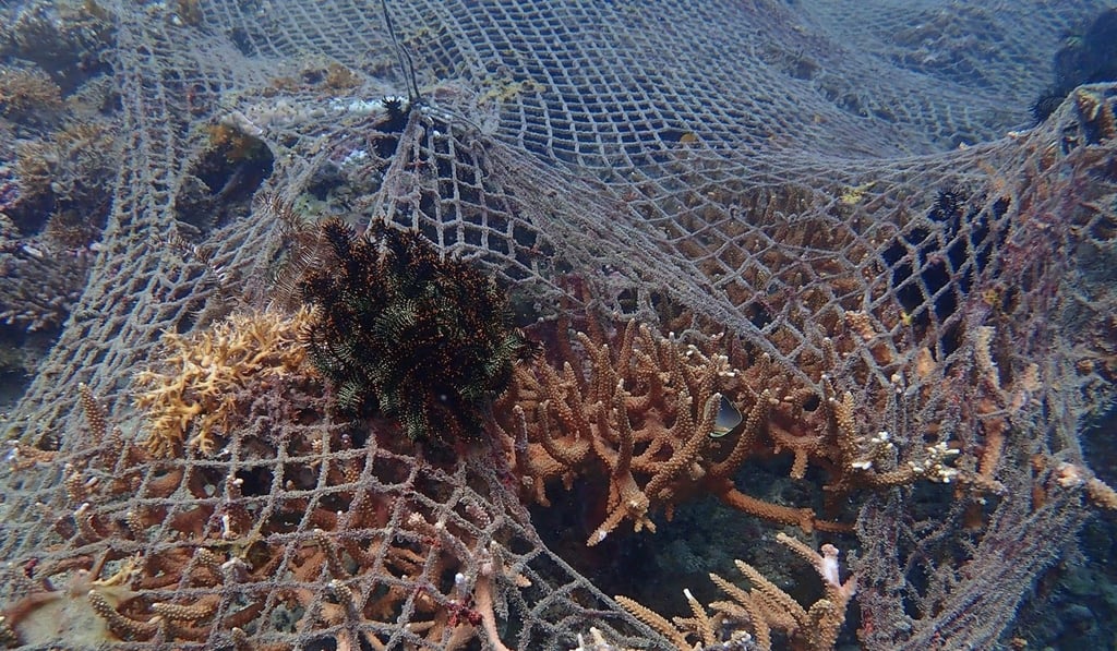 Ghost nets are a major problem in the world’s oceans. Photo: Jesse James Tiu