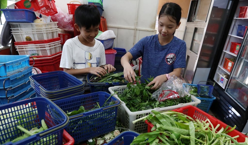 Primary school students and Food Grace volunteers Isaac So and Maggie Pok collect vegetables for recycling in Tai Po. Photo: Jonathan Wong