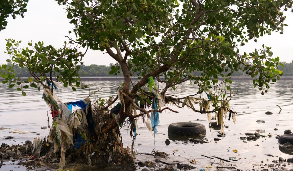 Plastic trash, including sachets of various products, stuck between mangroves in Freedom Island. Photo: Reuters