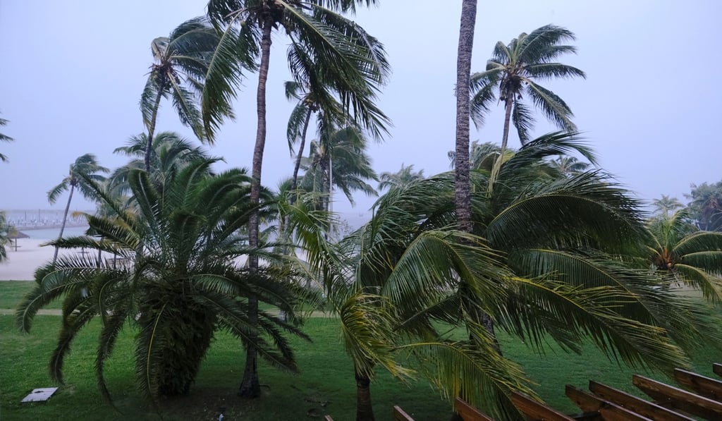 Palm trees blow in the wind as Hurricane Dorian lands in Marsh Harbour, the Great Abaco Island. Photo: Reuters