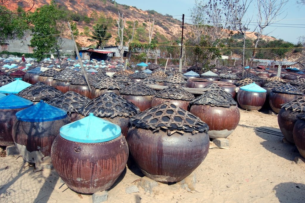 Vietnamese fish sauce pots, which contain anchovies and salt, are typically left to ferment in the sun for up to a year. Vietnamese fish sauce pots, which contain anchovies and salt, are typically left to ferment in the sun for up to a year.