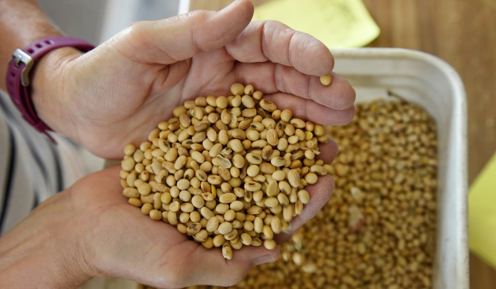 Soybeans are among the US crops Taiwan says it will be buying. Photo: Reuters