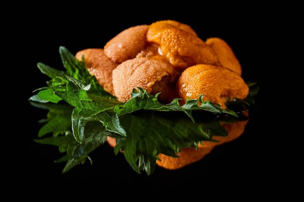 Fish and seafood, including sea urchin, contains docosahexaenoic acid, which is known to be beneficial to the heart and the brain.