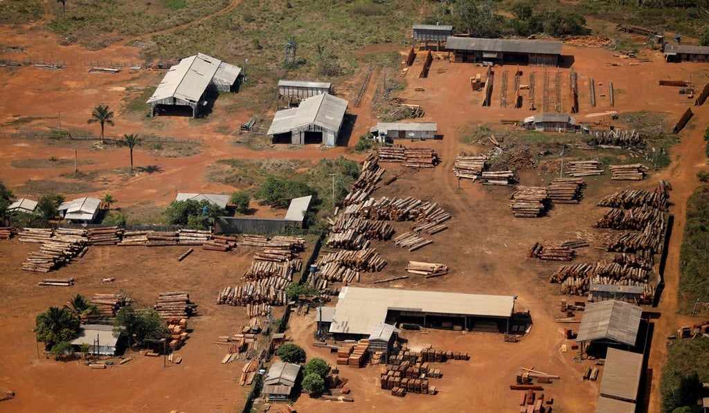 Sawmills process logged trees from the Amazon near Porto Velho, Rondonia State, Brazil. While logging gets the lion’s share of the blame it’s only responsible for a tenth of forest destruction. Photo: Reuters