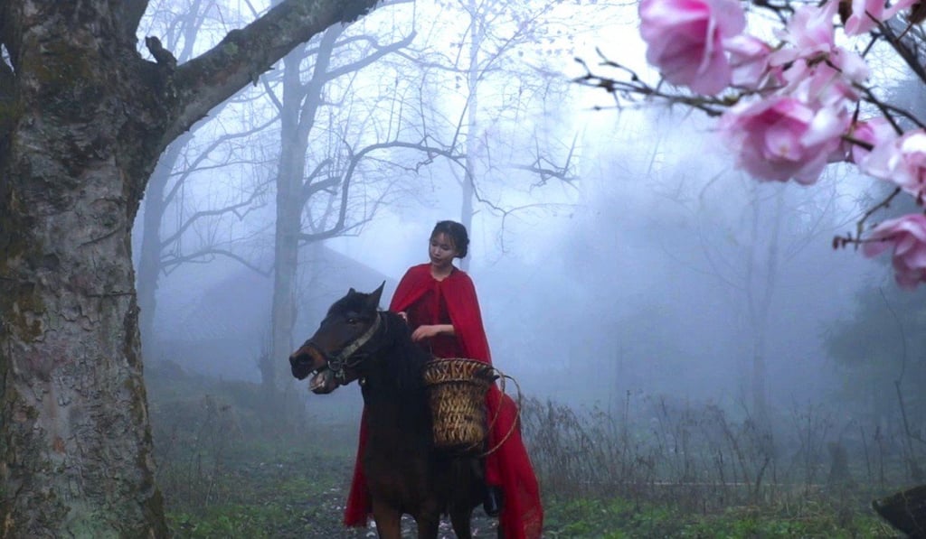 Li Ziqi’s videos have a cinematic quality to them. Photo: Li Ziqi