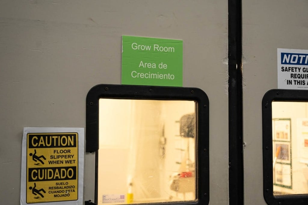 Photo: Business Insider Photo: Business Insider