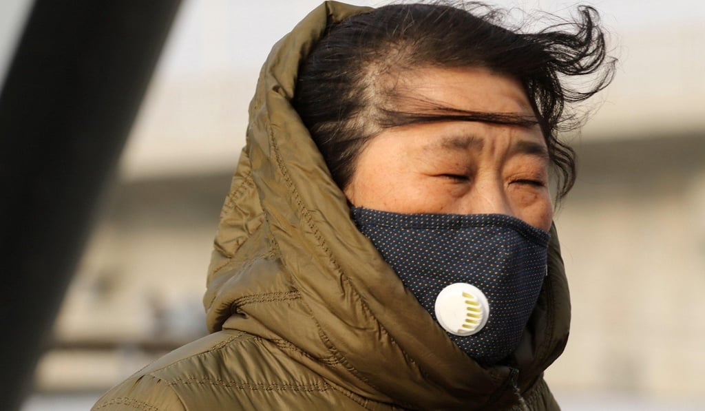 A pedestrian wears a face mask against air pollution in Harbin, northeast China. Photo: Alamy