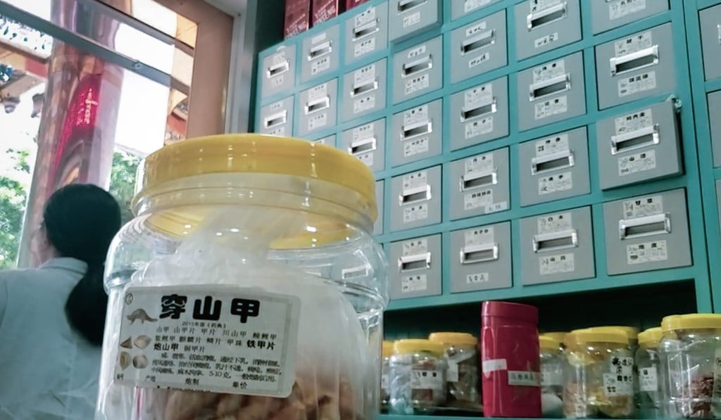Pangolin scales for sale at a pharmacy in Shantou, Guangdong province. The shopkeeper told undercover journalists that pangolin scales were good for reducing swelling. Photo: Handout