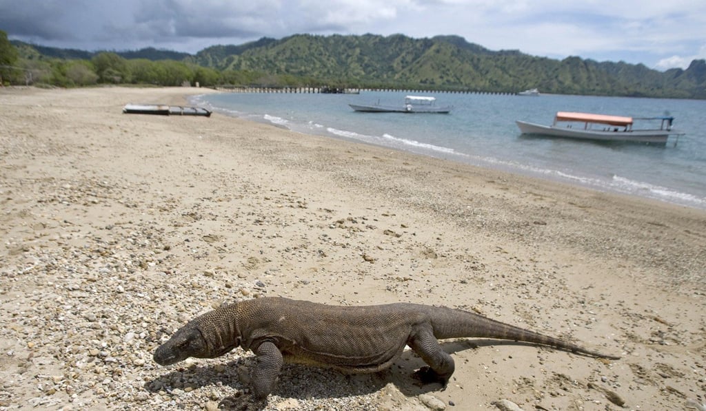 Indonesia says it’s scrapping plans to close Komodo island | South