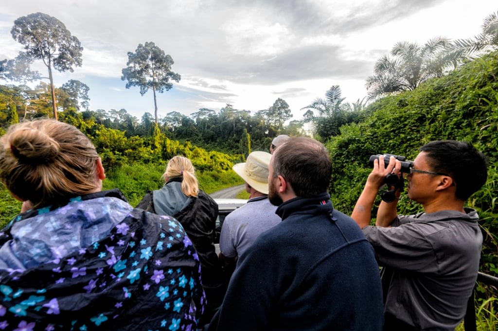 Tourists observe wildlife from a safari truck at Tabin Wildlife Reserve, Sabah. Photo: Alamy Tourists observe wildlife from a safari truck at Tabin Wildlife Reserve, Sabah. Photo: Alamy