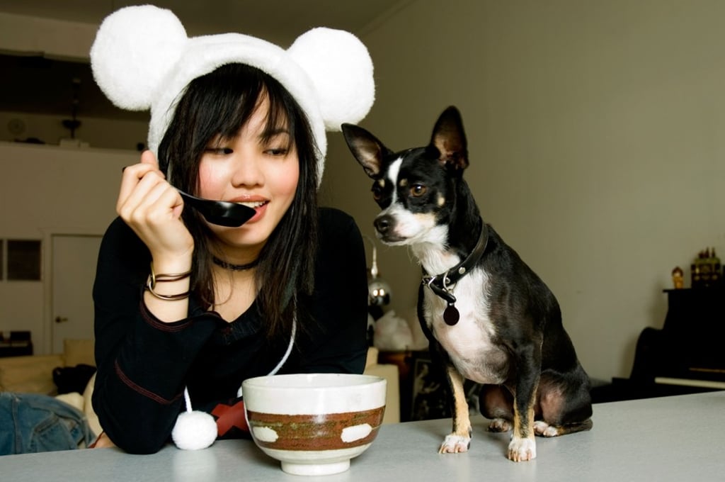 Many millennial pet owners end up paying an exorbitant amount in expenses for their furry friends. Photo: Alamy