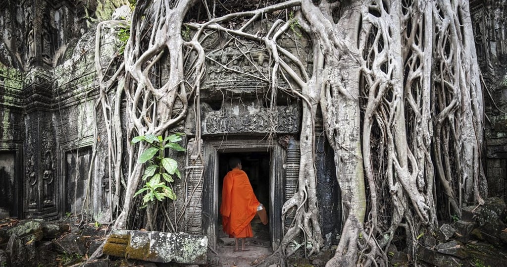 The trees growing out of the ruins are the most distinctive feature of the Bayon-style Ta Promh temple at Angkor Wat.