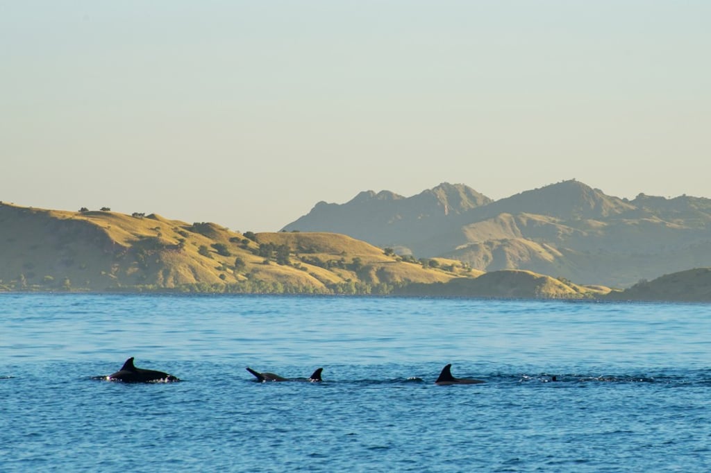 Komodo National Park has much to offer beyond its dragons. Photo: Shutterstock