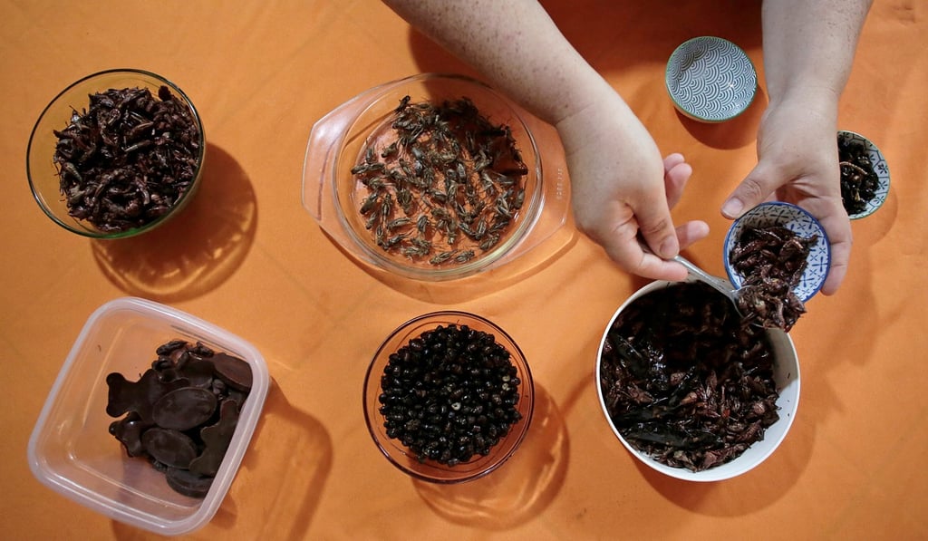 Federico Paniagua, the head of the Insects Museum in Costa Rica, farms edible insects (above) on his farm. Photo: Reuters/Juan Carlos Ulate Federico Paniagua, the head of the Insects Museum in Costa Rica, farms edible insects (above) on his farm. Photo: Reuters/Juan Carlos Ulate
