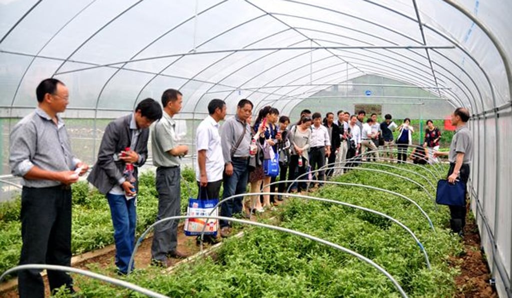 A beetle-keeping greenhouse in Hubei province Photo: Yinchang City government