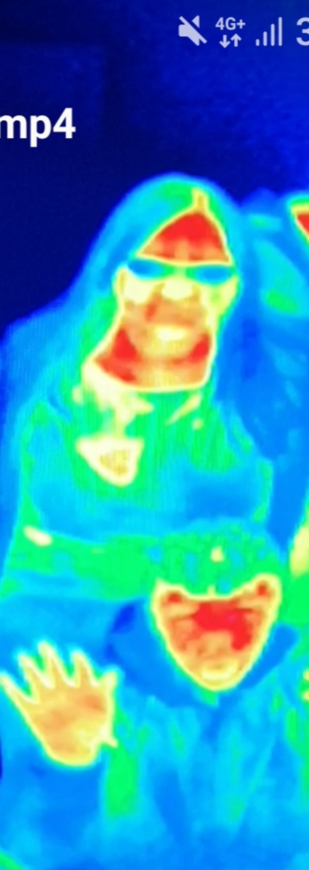 Bal Gill used her phone to take a photo of the thermal scan. Photo: Bal Gill