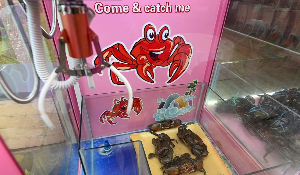 Crabs inside the claw machine at the seafood restaurant. Photo: AFP