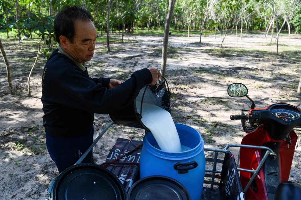 A worker collects latex at a rubber plantation in Thailand. File photo: AFP