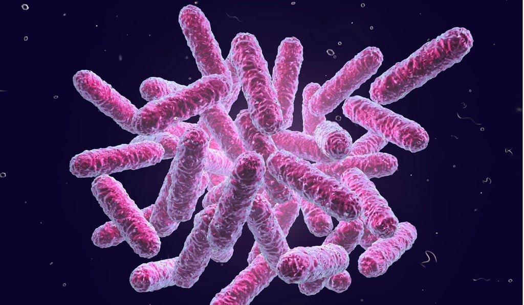 Urinary tract infections are caused when bacteria (such as E coli) enter the urinary tract. Photo: Alamy