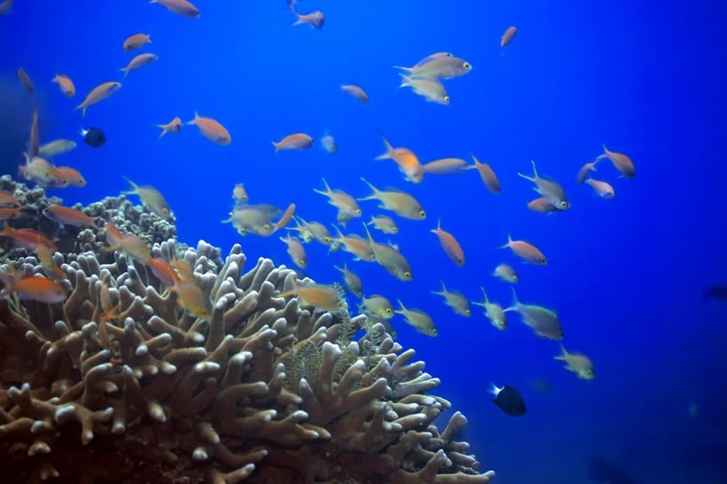 The waters off Borneo. Photo: Alamy The waters off Borneo. Photo: Alamy