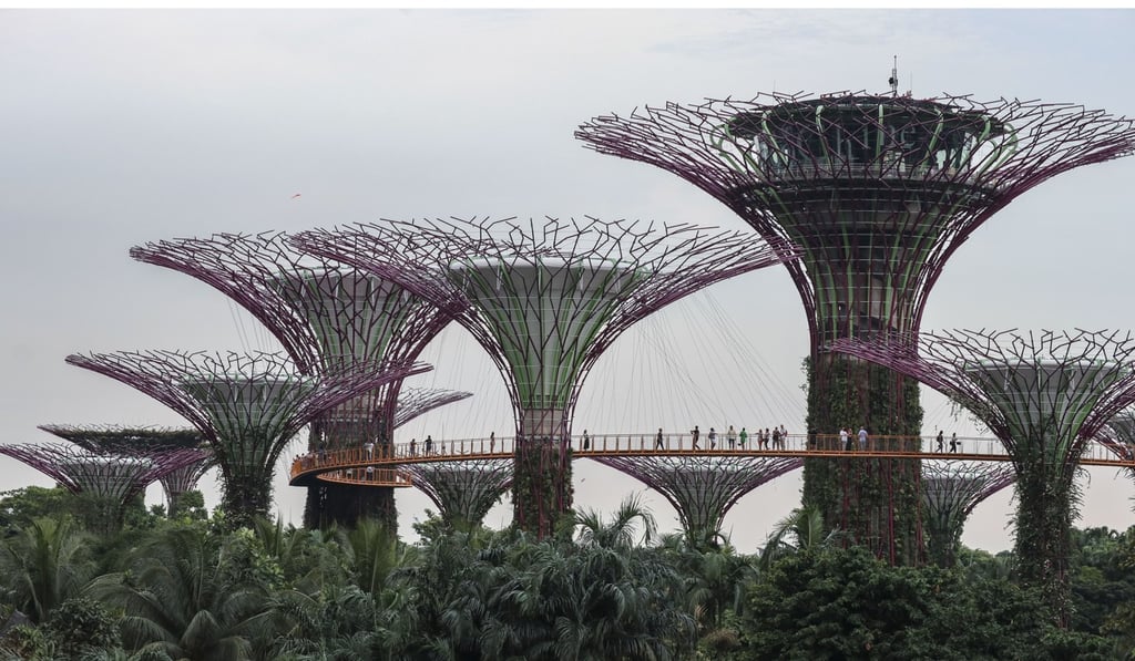 The Supertree Groves at Gardens by the Bay, Singapore. The steel trees collect rainwater and some have solar panels. Photo: SCMP/Roy Issa