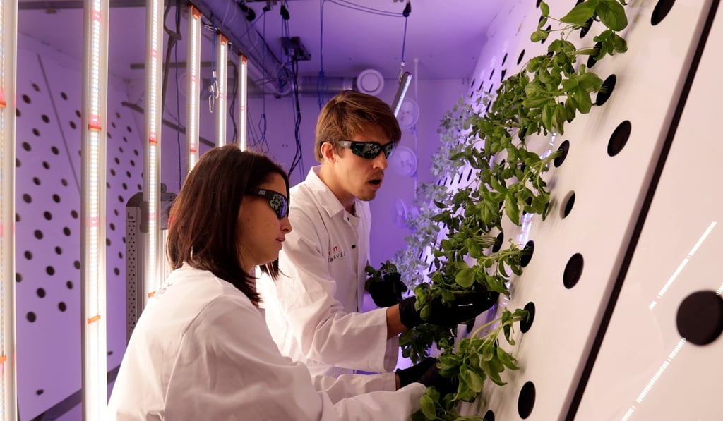 Scientists check plants inside of an aeroponic growing chamber system at the Prague University of Life Sciences in the Czech Republic on Wednesday. Photo: Reuters