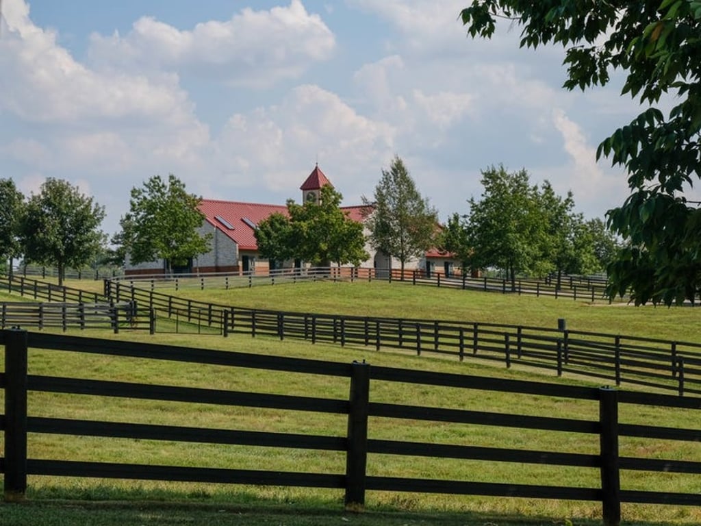 Jonabell Farm in Kentucky. Photo: Business Insider