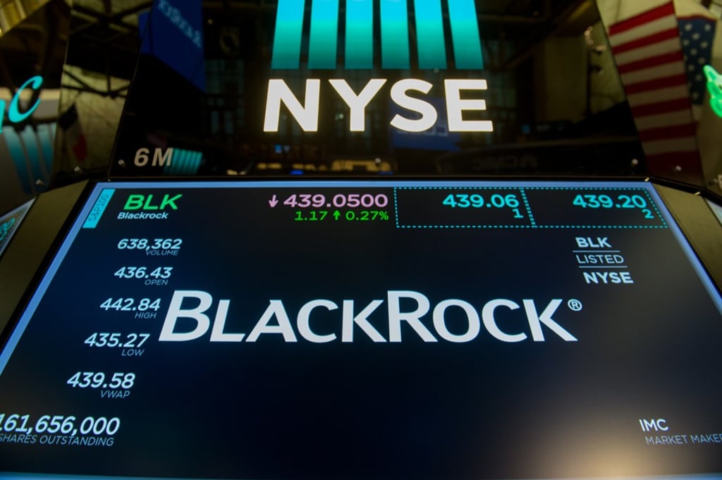 BlackRock is one of the biggest beneficiaries of investors’ shift from actively traded funds to passive index funds. Photo: AFP