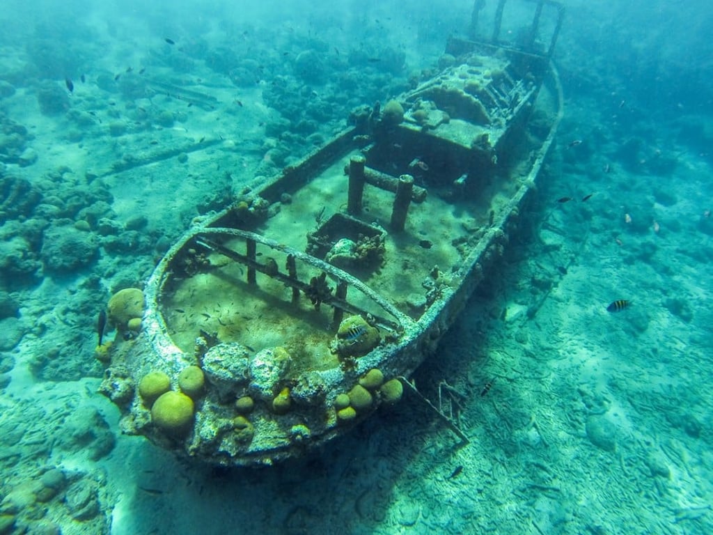 Diving enthusiasts can explore Curacao’s underwater shipwrecks and snorkel alongside a variety of marine life. Photo: Shutterstock