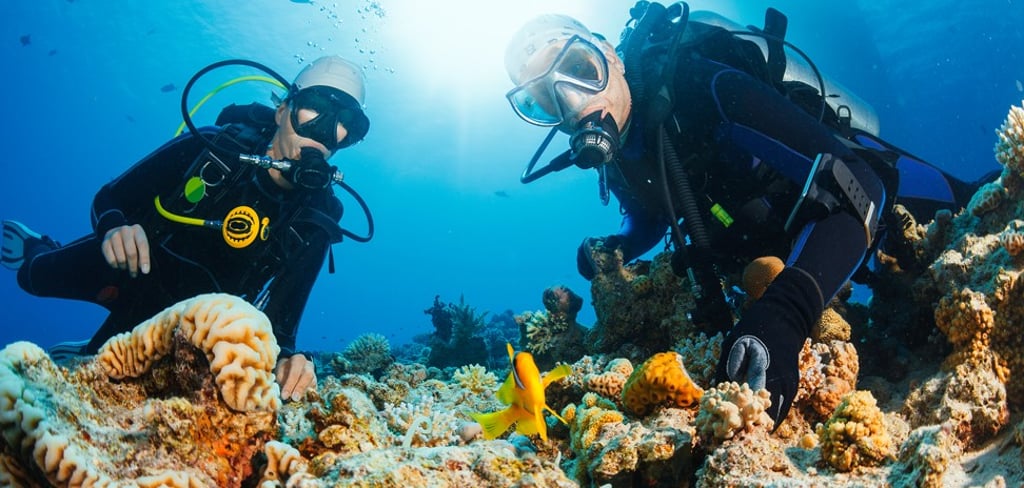 Biologists at Maldives’ Marine Discovery Centre carry out research studies on local sea life, coral propagation and also help to run a coral curator programme for young people.