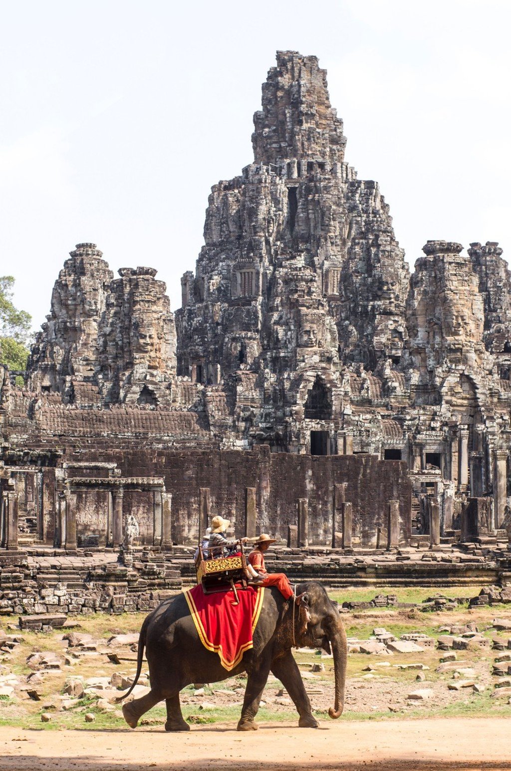 Elephants have been giving rides at Angkor since 2001. Photo: Alamy Elephants have been giving rides at Angkor since 2001. Photo: Alamy