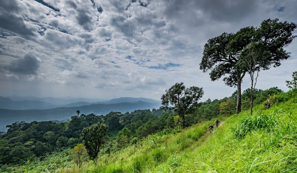 There is great biking to be had in northern Thailand at most times of the year. The fields and forests are lush and verdant at the end of the rainy season. Photo: Steve Thomas