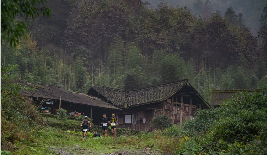 Runners on the race course which goes through very steep thickly forested terrain.