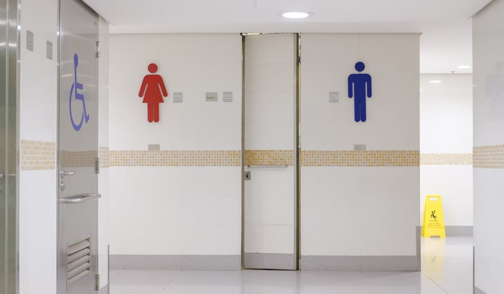 The Food and Environmental Hygiene Department showed delays in fixing even simple toilet breakdowns, the report found. Photo: Shutterstock The Food and Environmental Hygiene Department showed delays in fixing even simple toilet breakdowns, the report found. Photo: Shutterstock