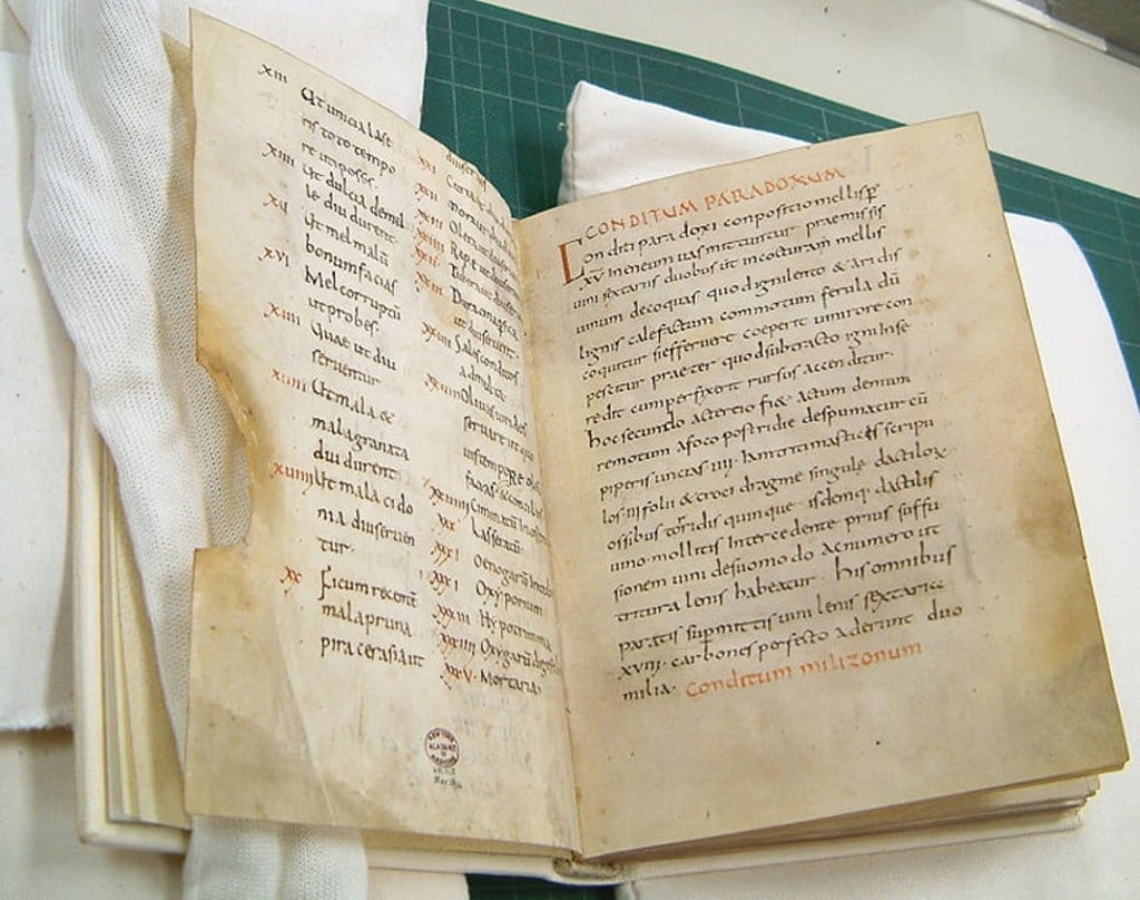 Roman cookbook Apicius. Photo: Handout