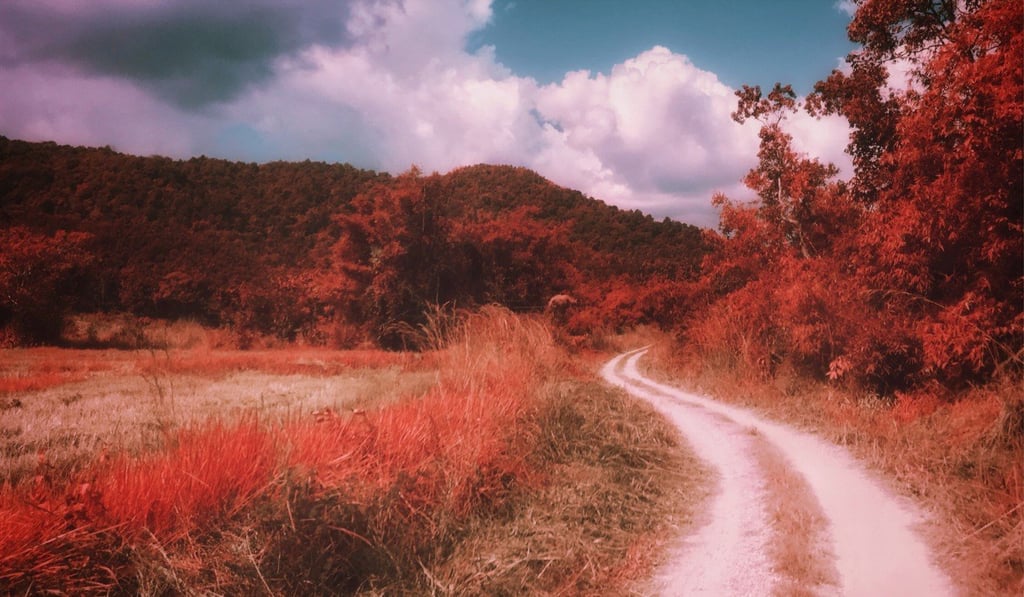 Thomas takes pictures on his iPhone using the Filmic Firstlight app. Thomas takes pictures on his iPhone using the Filmic Firstlight app.