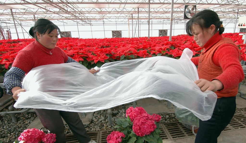 China wants to set up a management system covering the production, sale, use and recycling of thin plastic film in the countryside. Photo: Getty Images China wants to set up a management system covering the production, sale, use and recycling of thin plastic film in the countryside. Photo: Getty Images