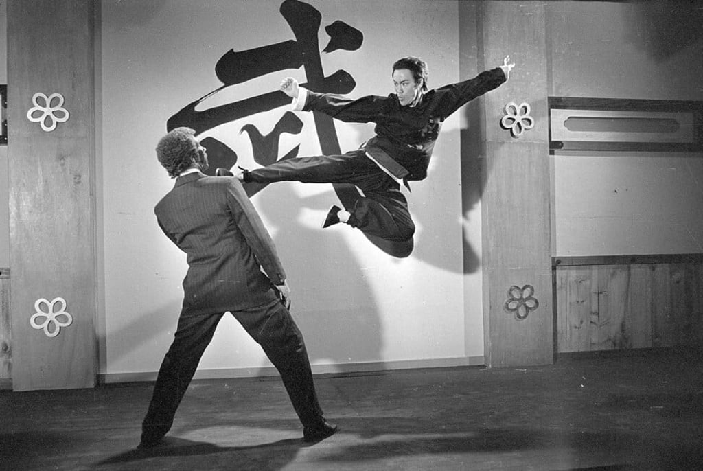 Bruce lee style of martial arts discount