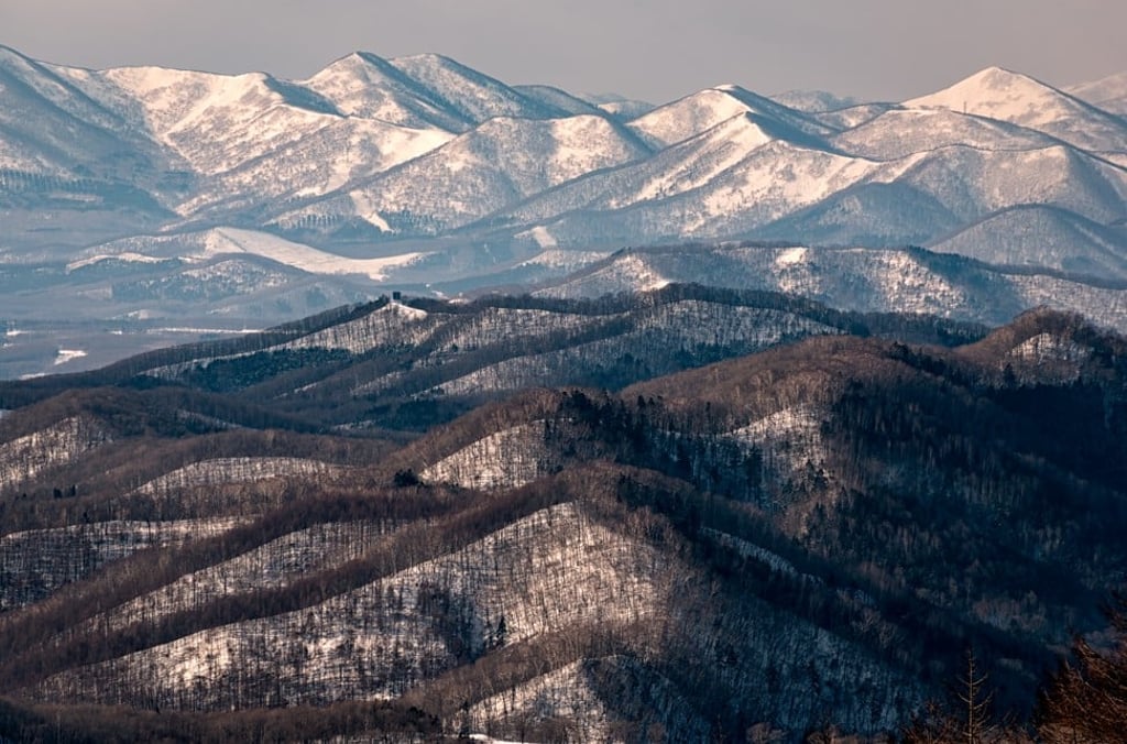 Sapporo is among the best Christmas Day deals. Photo: Getty