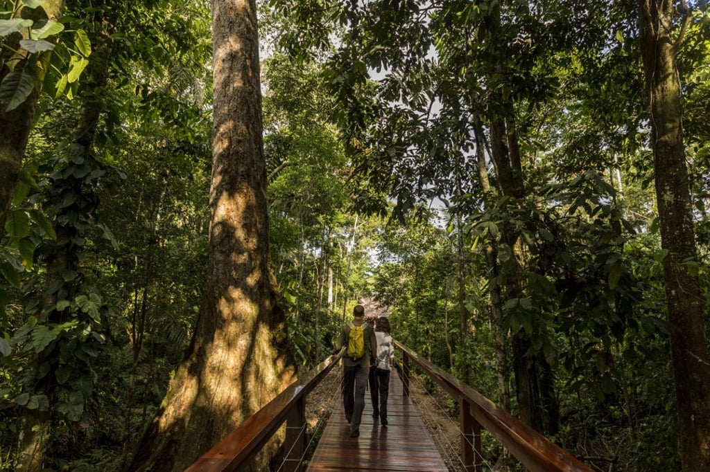The indigenous Ese Eja people of the Amazon basin, southeastern Peru, are considered by anthropologists as one of the rainforest’s most botanically knowledgeable tribes. Photo: Handout