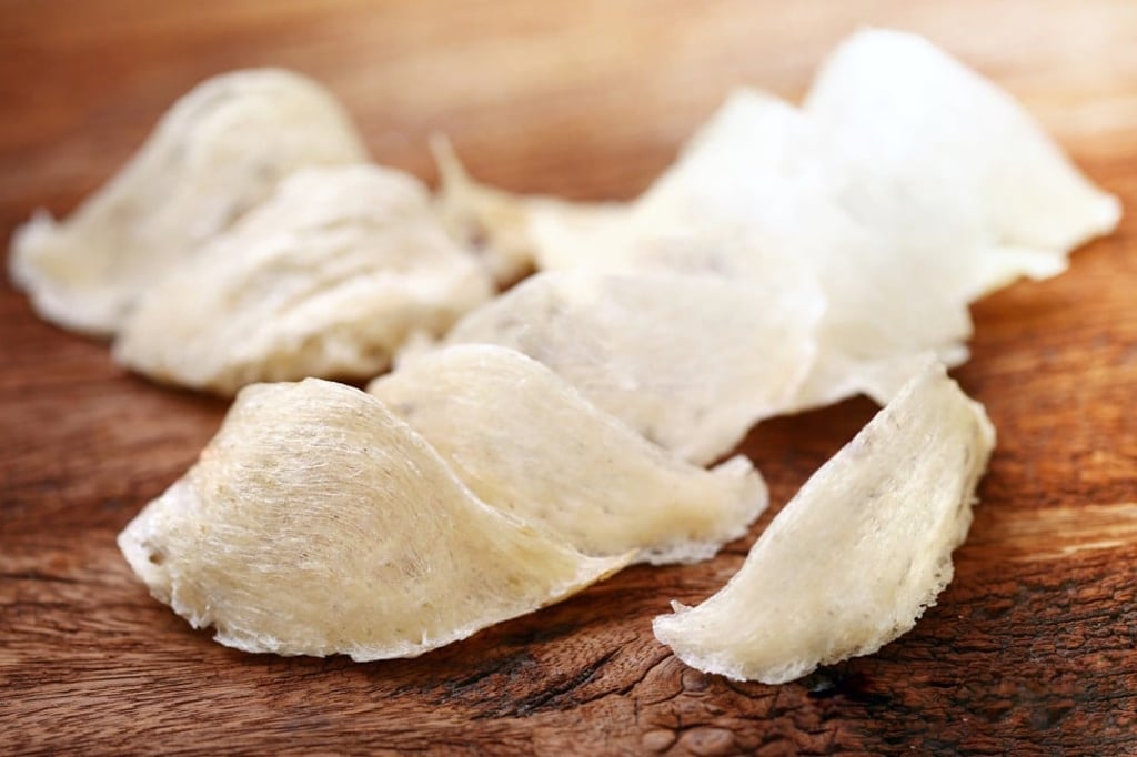 Bird’s nest Bird’s nest