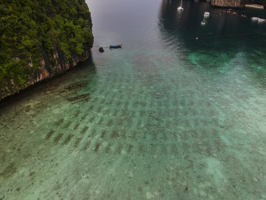 The rectangular outline of 120 nurseries that coral gardeners have built inside Maya Bay. Black-tipped reef sharks patrol the avenues between them. Photo: James Wendlinger