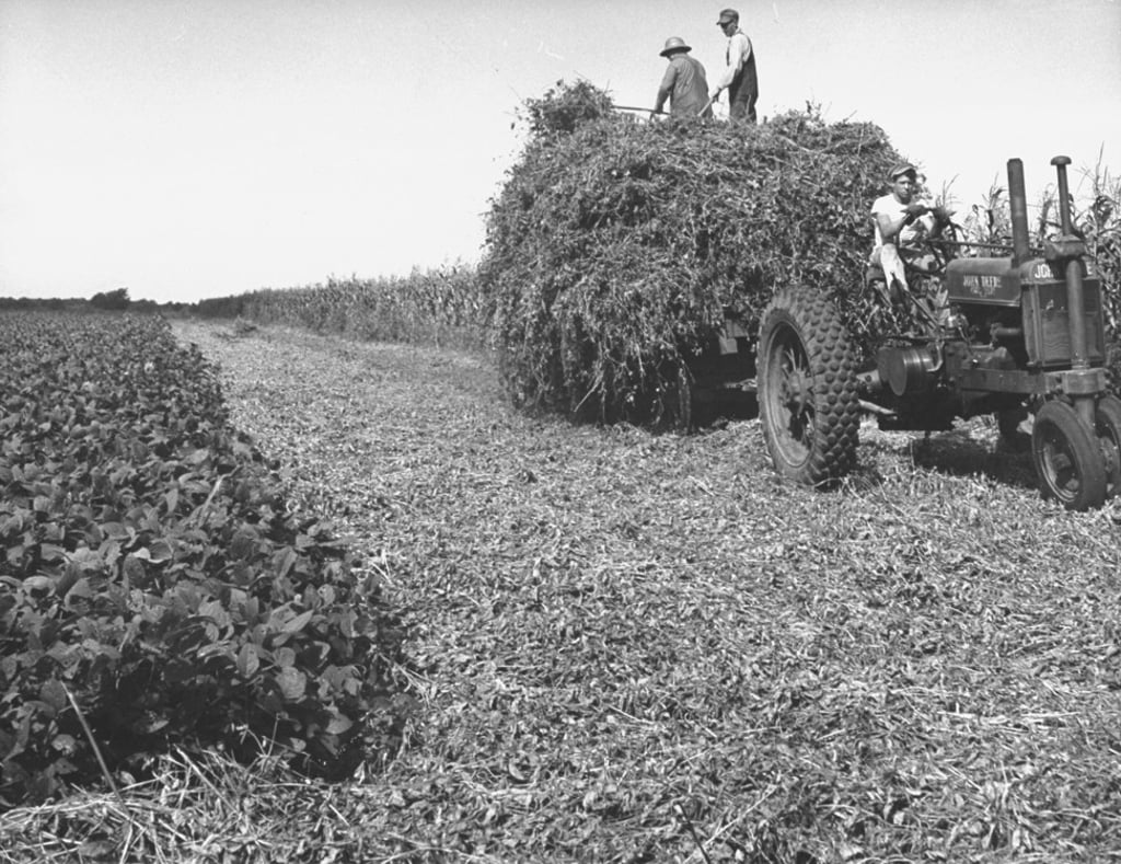 Farmers harvest soybeans in the US. Photo: Getty Images Farmers harvest soybeans in the US. Photo: Getty Images