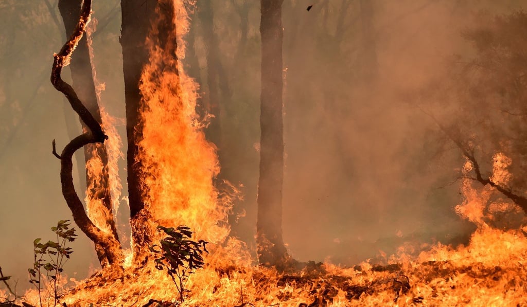 A bush fire burns on a property in Balmoral, 150 kilometres southwest of Sydney. Photo: AFP